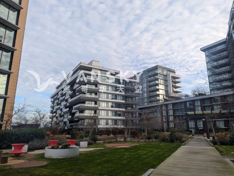 241213201824_In the community.jpeg